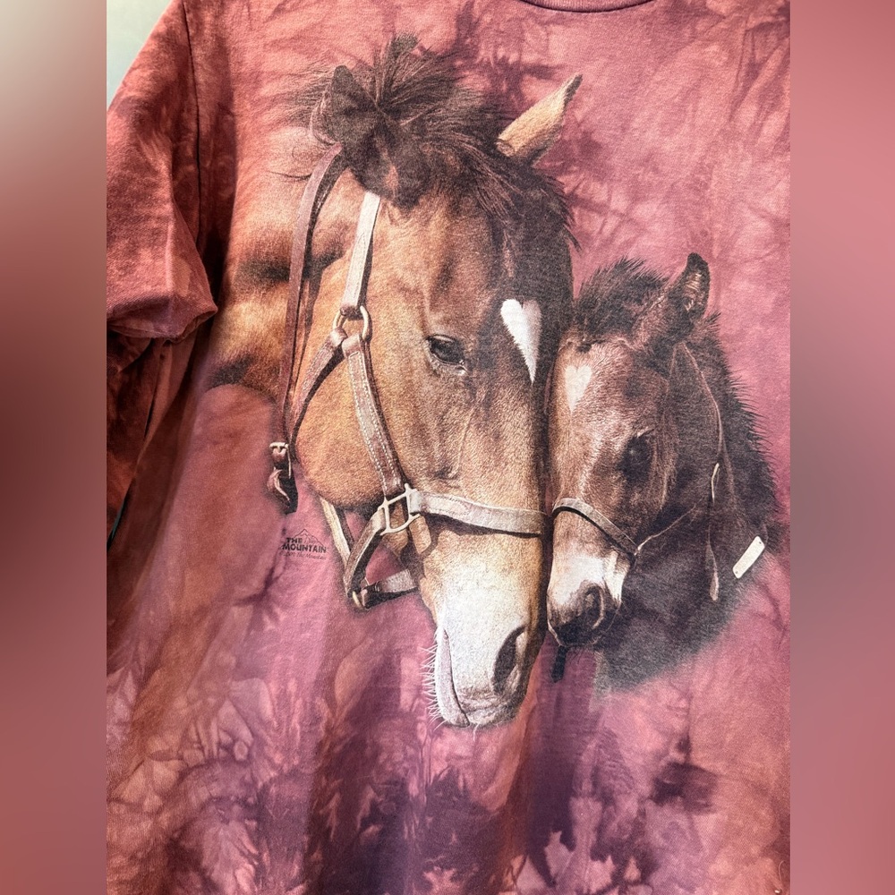 The Mountain Horses 2009 Long Sleeve Tee Shirt Size M - Picture 2 of 7